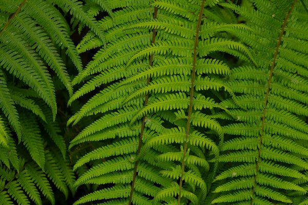 RSA et personnes âgées : une aide insuffisante ?