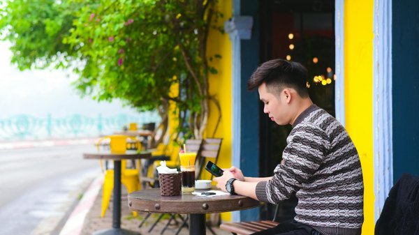 Quels sont les pays leaders dans la réduction des émissions de CO2 ?